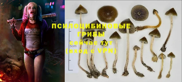 mdma Вяземский