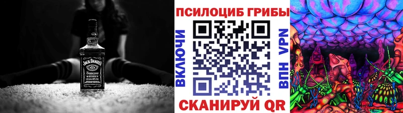 Купить  Мелеуз  Галлюциногенные грибы GOLDEN TEACHER 