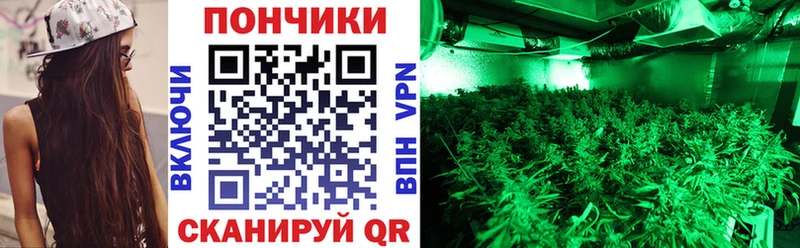 Купить где  Мелеуз  Бошки марихуана планчик 